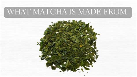 What Is Matcha Made From Tencha