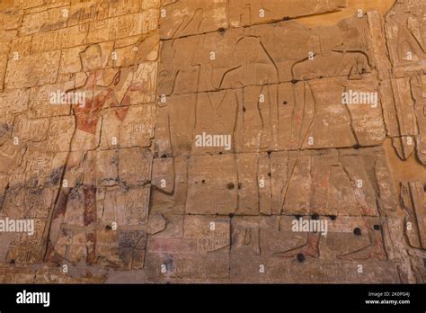 Dibujo Egipcio Antiguo En Las Paredes Del Templo De Seti I Tambi N