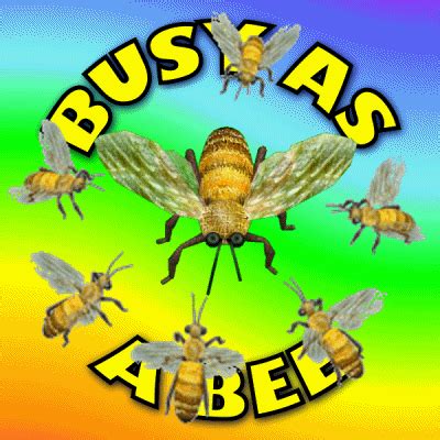 Busy As A Bee GIFs - Find & Share on GIPHY