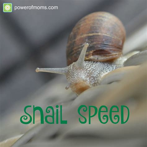 Snail Speed | Power of Families