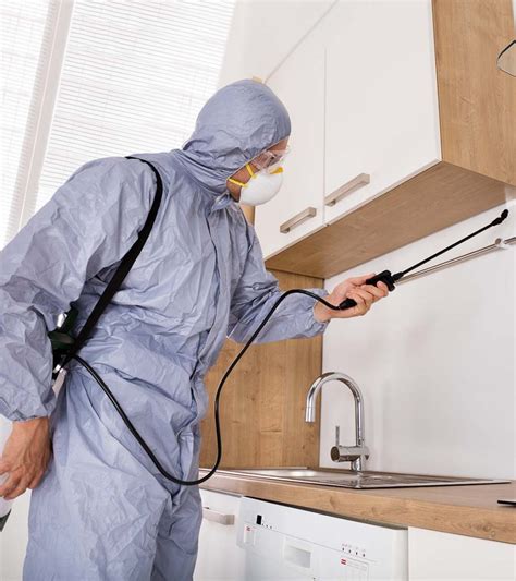 Pest Control Dublin Cork Galway Kildare