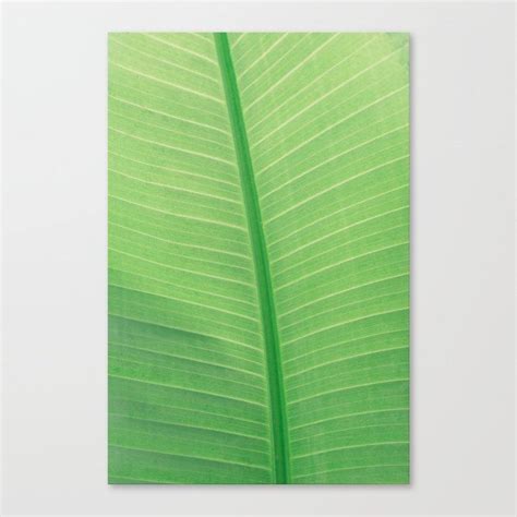 Buy Tropical Green Leaf Canvas Print By Newburydesigns Worldwide