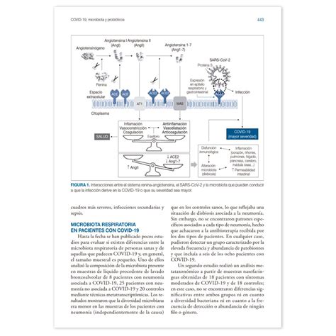 Microbiota probióticos y prebióticos Evidencia científica Ergon