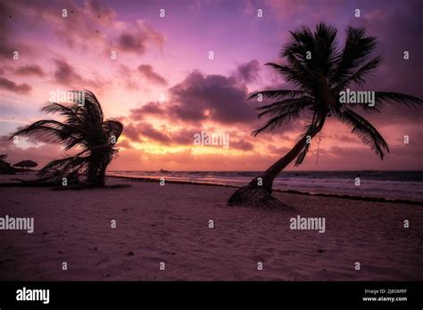 Tulum Mexico Night Hi Res Stock Photography And Images Alamy