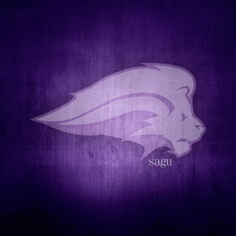 SAGU unveils new athletic logo