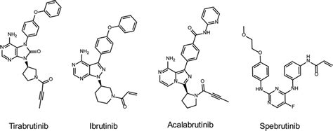 Chemical Structures Of Covalent Btk Inhibitors Tested In This Study