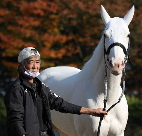 引退したソダシの元担当厩務員・今浪隆利氏、愛情たっぷりにsns更新「いつまでも元気でいてね」 スポニチ競馬web