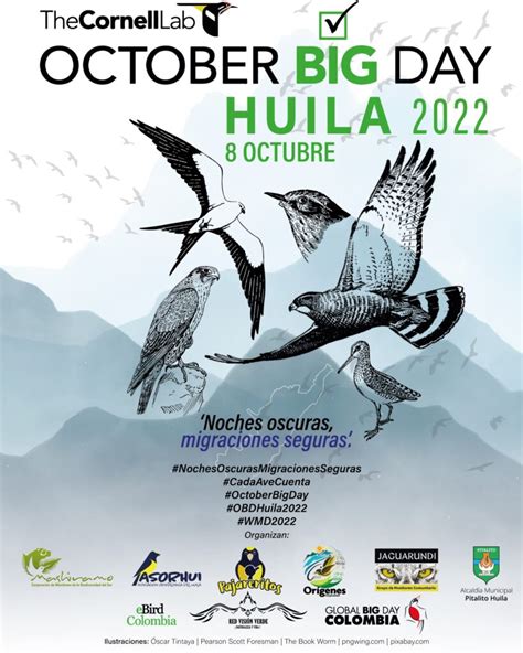 October Big Day 2022 Asociación Ornitológica Del Huila Asorhui