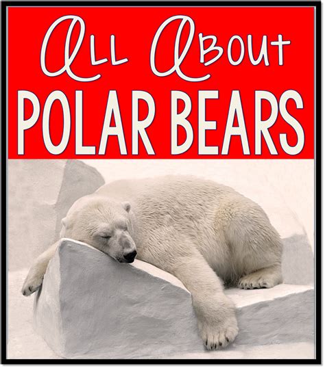 All About Polar Bears | Time 4 Kindergarten