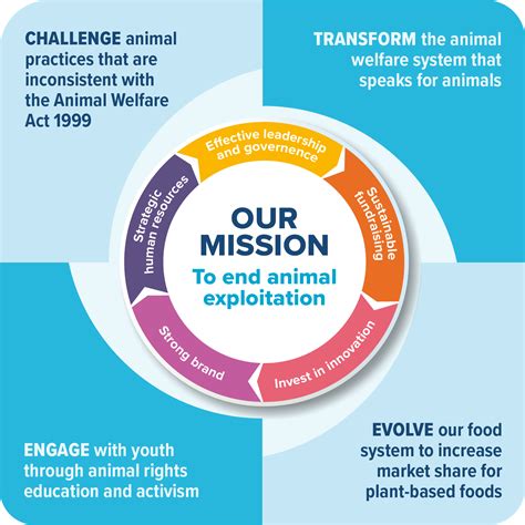 Strategic plan - SAFE | For Animals