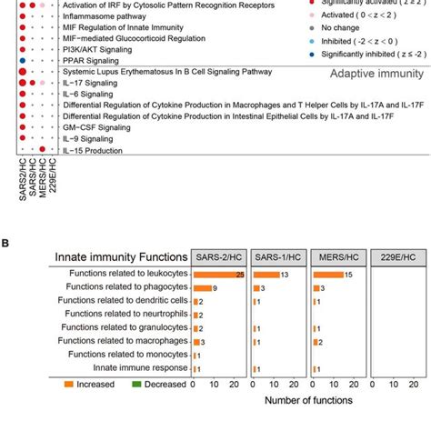 Immunity Related Pathway And Functional Enrichment Analysis Of The Degs