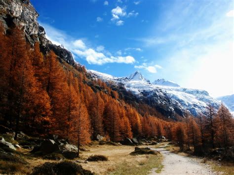 Parco Nazionale Gran Paradiso Wallpaperuse