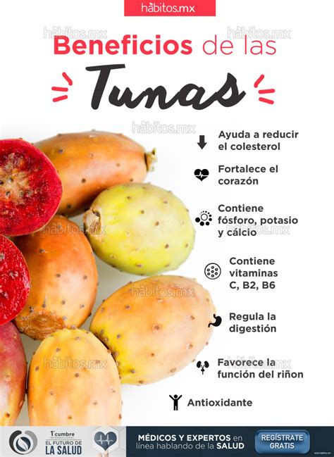 Beneficios De La Tuna H Bitos Health Coaching