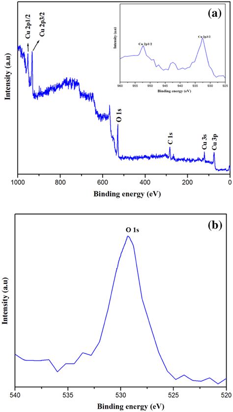 XPS Spectrum Of CuO Nanostructure A Survey Spectrum B O1s Region The