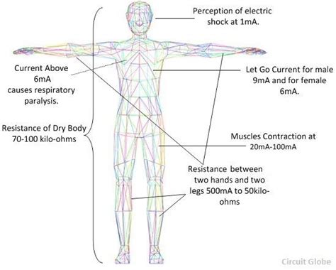 What Are The Effects Of Electric Current On Human Body Definition