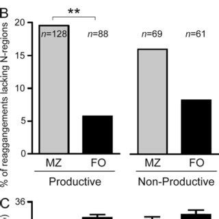 The T Compartment Contains A Discrete Population Of T Mzp Cells A