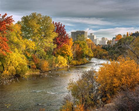 Fall Color In Reno, Nevada Photograph by Steve Ellison - Pixels