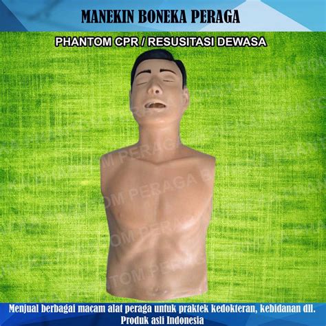 Jual Boneka Alat Peraga Manekin Phantom Cpr Resusitasi Dewasa