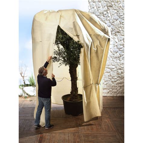 Housse Hivernage Plante Xxl De Grande Taille Mammut Mymaisoon Fr