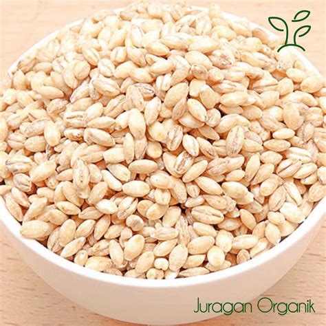 Jual Pearl Barley 50gr Biji Jali Jali Shopee Indonesia