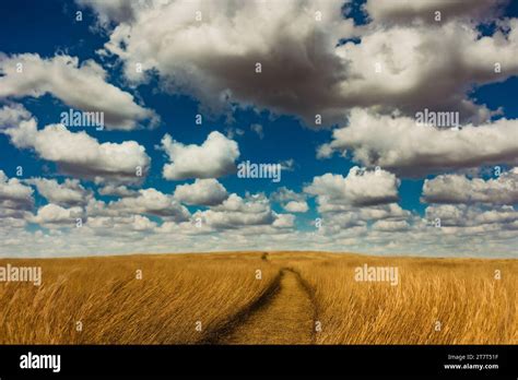 Tallgrass praire hi-res stock photography and images - Alamy