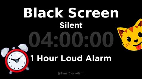 Black Screen 4 Hour Timer Silent 1 Hour Loud Alarm Sleep And