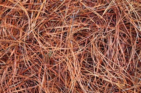 Pine Straw Products — Mulch Pros Landscape Supply