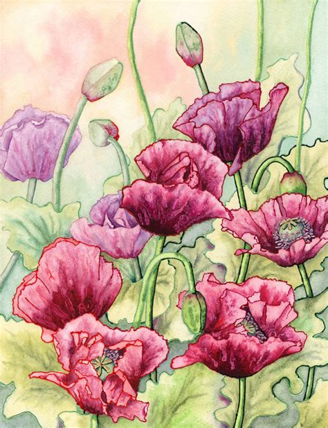 Opium Poppies by LynneHendersonArt on DeviantArt