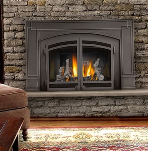 Installing A Gas Fireplace Insert | Home Design Ideas