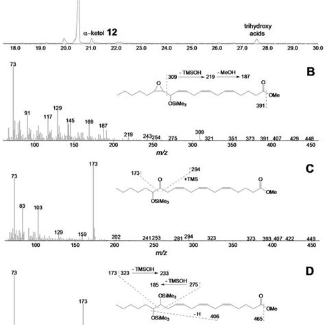 The Result Of Gc Ms Analysis Of Products Metms Of 15 Hpete