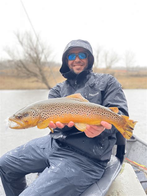 Watauga River Fly Fishing Guided Fishing Trips For Trout