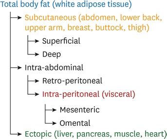 Cmsj Cardiometabolic Syndrome Journal