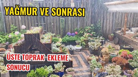 Her taraf battı temizlik ve son durum deutschland türkiye garden