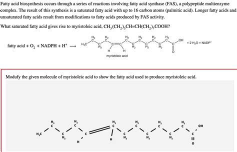 Answered Fatty Acid Biosynthesis Occurs Through Bartleby