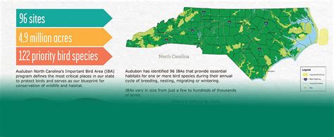 Important Bird Areas | Audubon North Carolina