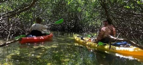 Guided Kayak and Canoe Tours | SpongeBob Kayak Eco Tours