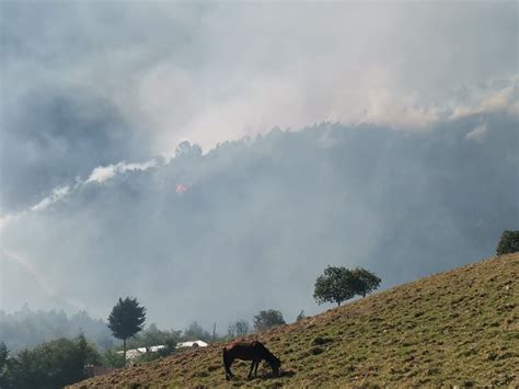 Reporta Conafor Nueve Incendios Forestales Activos En Puebla