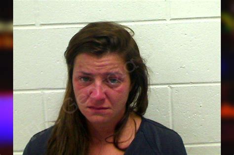 Shannon Beale — Bulloch County Jail Bookings