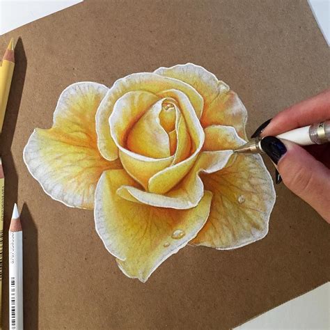 Colored Pencil Drawings Of Flowers