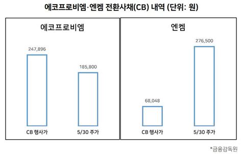 Pe 이차전지 투자 성적 에코프로비엠·엔켐 희비 엇갈려 투자360