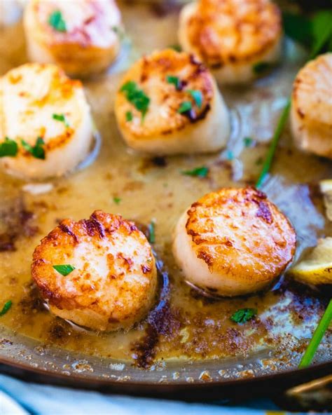 Pan Seared Scallops Tips Tricks A Couple Cooks