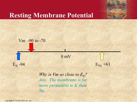 Chapter 5 Membrane Potentials And Action Potentials Ppt Download