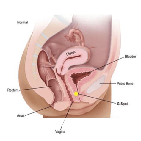 Finding The G Spot Blackdoctor