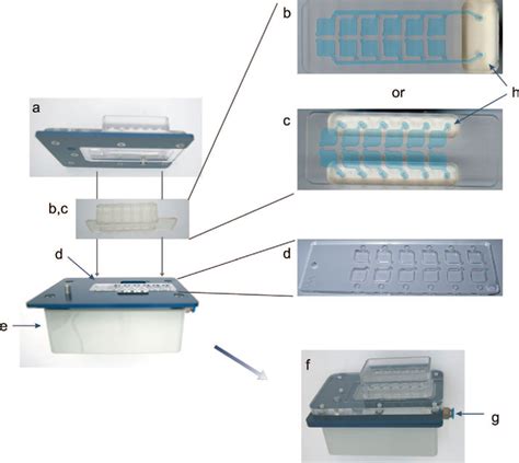 Figure 1 From User Configurable Microfluidic Device For Multiplexed Immunoassays Based On Dna