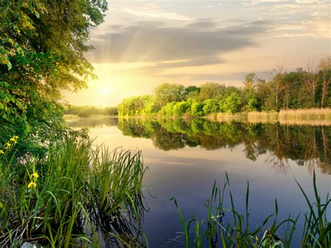 Frases De Naturaleza Frases Y Citas C Lebres