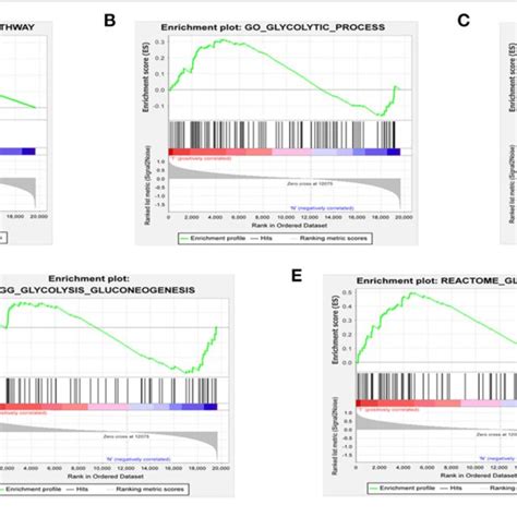 Enrichment Of Five Glycolysis Related Gene Sets In Gsea A