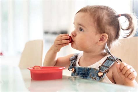 Alimentación para niños a partir de 2 años de edad