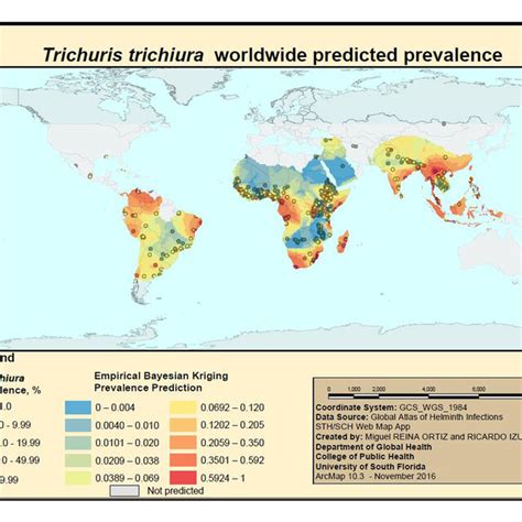 Trichuris Trichiura Life Cycle Source Da Silva And Moser This