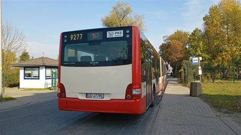 PKS Gdańsk MAN NG313 Lion s City G 9277 linia 167 kierunek Bysewo