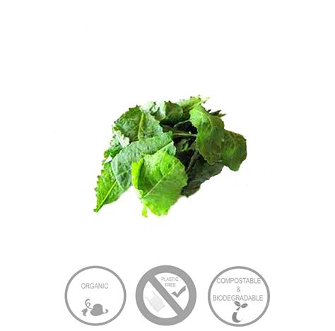 Kale Baby 100g Green Heart Organics